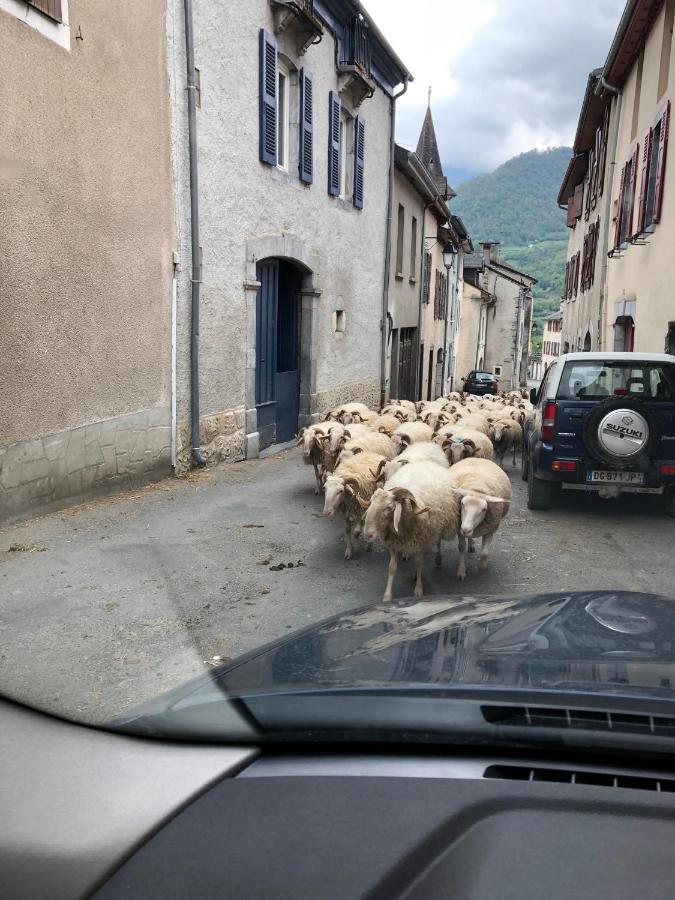 Au Coeur Des Pyrenees - Parking Gratuit Pierrefitte-Nestalas